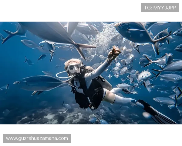 蜈支洲岛潜水白色分体服究竟有多难抢全方位深度解析热点现象揭秘