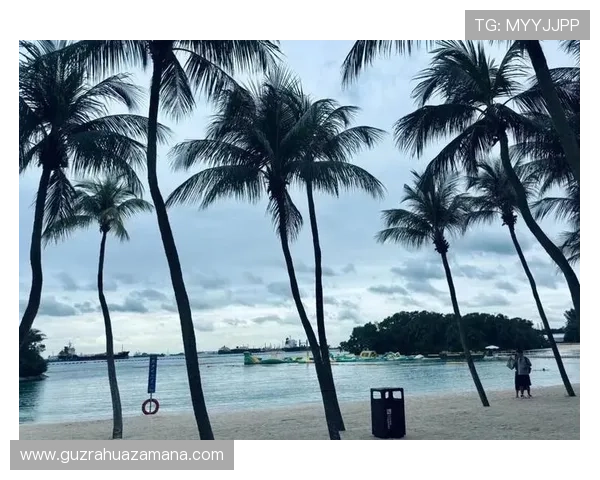 圣淘沙岛探秘：畅游自然与人文魅力的度假胜地，尽享无与伦比的海岛体验