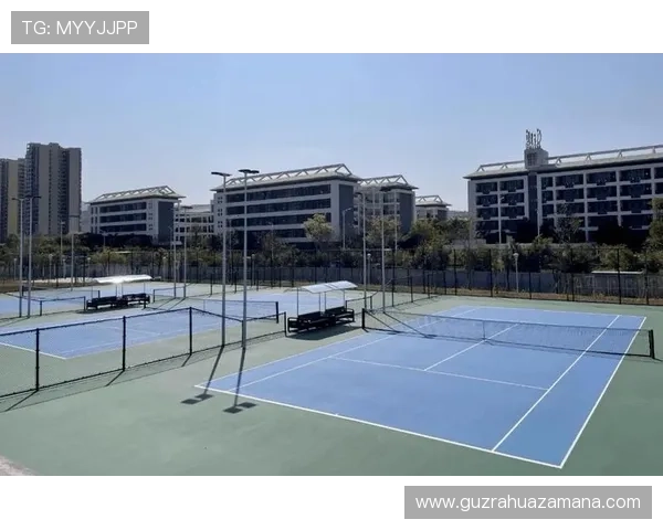 必赢体育引领未来体育科技发展全景解析及创新趋势探索