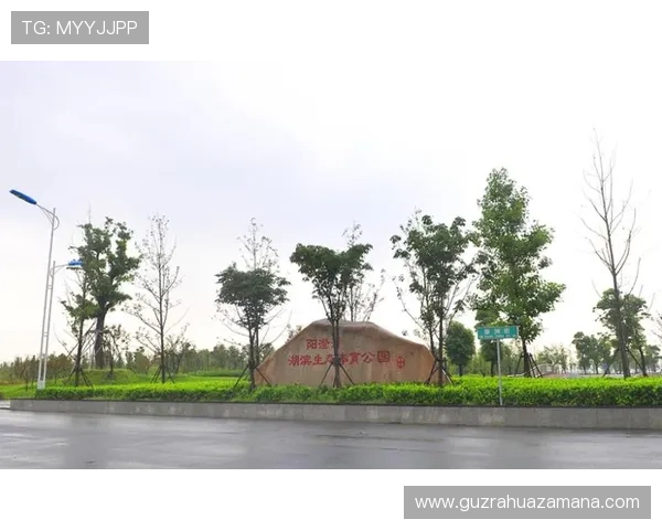 欧盈体育引领数字娱乐新趋势打造全球用户信赖的综合体育平台生态